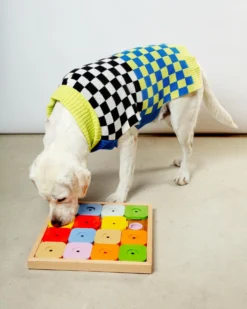 MY INTELLIGENT PETS Sudoku Dog Treat Puzzle Game In Rainbow Edition (16 Squares)