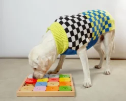 MY INTELLIGENT PETS Sudoku Dog Treat Puzzle Game In Rainbow Edition (16 Squares) -Pet Sale Shop Dog Co 1C5A4631