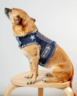 HEADS OR TAILS PUP NYC Denim Dog Harness (Dog & Co. Exclusive) -Pet Sale Shop Dog Co 1C5A4699 efc1b69c dad8 404a 8dfd 0769f4ae2f41