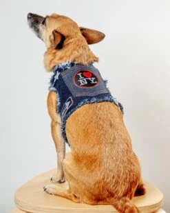 HEADS OR TAILS PUP NYC Denim Dog Harness (Dog & Co. Exclusive)