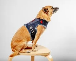 HEADS OR TAILS PUP NYC Denim Dog Harness (Dog & Co. Exclusive) -Pet Sale Shop Dog Co 1C5A4703 2