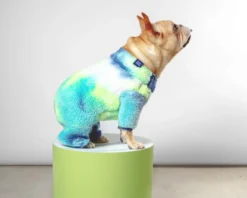 LITTLE BEAST It's Groovy Baby Fleece Tie-Dye Onesie (FINAL SALE) -Pet Sale Shop Dog Co 1C5A4741