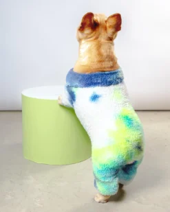 LITTLE BEAST It's Groovy Baby Fleece Tie-Dye Onesie (FINAL SALE) -Pet Sale Shop Dog Co 1C5A4744