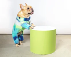 LITTLE BEAST It's Groovy Baby Fleece Tie-Dye Onesie (FINAL SALE) -Pet Sale Shop Dog Co 1C5A4746