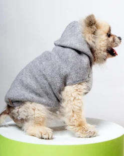 BROCHU WALKER The Cashmere Dog Hoodie Dog & Co X Brochu Walker Exclusive -Pet Sale Shop Dog Co 1C5A4843 30fc02fa acdb 4377 9c57 3ba80a29ad4f