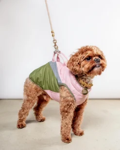 GOOBY Mountaineer Waterproof Dog Harness Jacket In Peach (FINAL SALE)