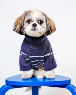 THE FOGGY DOG Mariner Stripe Dog Sweater