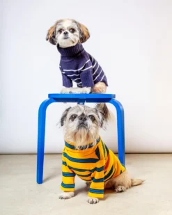 THE FOGGY DOG Mariner Stripe Dog Sweater -Pet Sale Shop Dog Co 1C5A4932 1