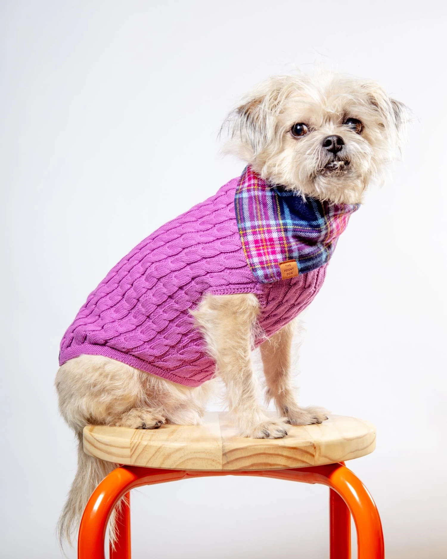 DOG & CO. COLLECTION The Uptown Cable Knit Sweater In Radiant Orchid American Cotton (Made In NYC) 2 DOG & CO. COLLECTION The Uptown Cable Knit Sweater In Radiant Orchid American Cotton (Made In NYC) - Image 2