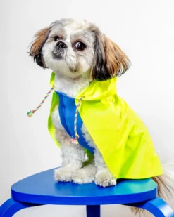 DOG & CO. COLLECTION Action Jacket Pull-On Raincoat In Safety Yellow + Blue (Made In NYC)