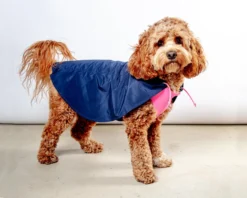 DOG & CO. COLLECTION Action Jacket Pull-On Raincoat In Navy + Neon Pink (Made In NYC) -Pet Sale Shop Dog Co 1C5A4962