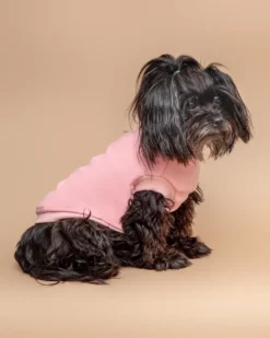 FUZZYARD Stevie Dog Turtleneck In Pink (FINAL SALE) -Pet Sale Shop Dog Co 1C5A5286