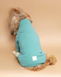 FUZZYARD Soft Touch Dog Onesie In Sandstone Or Myrtle Green (FINAL SALE) -Pet Sale Shop Dog Co 1C5A5296
