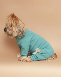 FUZZYARD Soft Touch Dog Onesie In Sandstone Or Myrtle Green (FINAL SALE) -Pet Sale Shop Dog Co 1C5A5297