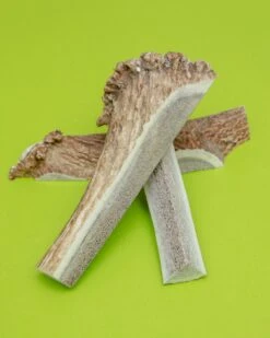 PUPFORD Split Elk Antler Dog Single Chew -Pet Sale Shop Dog Co 1C5A5339