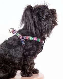 DOG & CO. COLLECTION Step-In Dog Harness In Rainbow Serape & Leopard (Made In NYC) 15 DOG & CO. COLLECTION Step-In Dog Harness In Rainbow Serape & Leopard (Made In NYC) -Pet Sale Shop Dog Co 1C5A5390a
