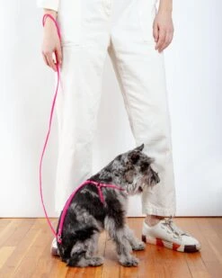 DOG & CO. Step-In Adjustable Dog Harness In Neon Pink (Made In The USA) -Pet Sale Shop Dog Co 1C5A5456