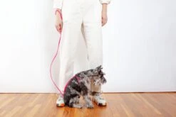 DOG & CO. Step-In Adjustable Dog Harness In Neon Pink (Made In The USA) -Pet Sale Shop Dog Co 1C5A5473