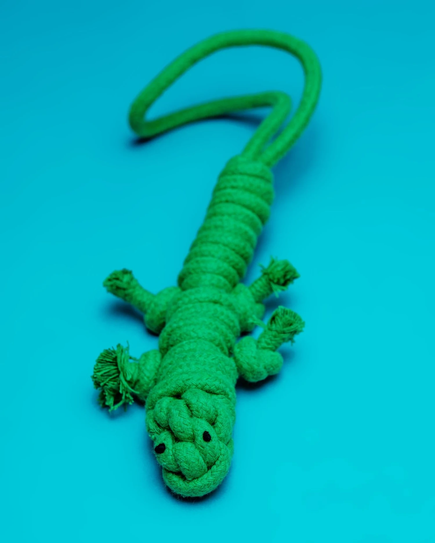 KNOTTY PAWS Homemade Eco-Friendly Green Lizard Dog Rope Toy 2 KNOTTY PAWS Homemade Eco-Friendly Green Lizard Dog Rope Toy - Image 2