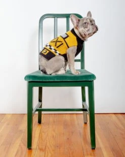 PERUVIAN KNITS For DOG & CO. NYC Taxi Handknit Dog Sweater (Dog & Co. Exclusive) -Pet Sale Shop Dog Co 1C5A5477