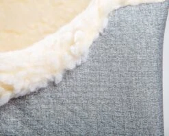 SNOOZER Lookout Dog Car Seat With Storage Drawer (Direct-Ship) (Made In The USA) -Pet Sale Shop Dog Co 1C5A5680 befb0067 10ea 405f 9624 e1430a4c0dc4