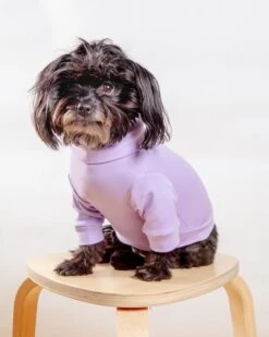 COLETTE ET GASTON Cotton Pullover Dog T-Shirt In Lavender Or Navy -Pet Sale Shop Dog Co 1C5A5779