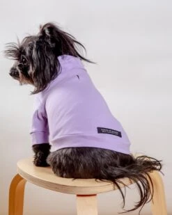 COLETTE ET GASTON Cotton Pullover Dog T-Shirt In Lavender Or Navy -Pet Sale Shop Dog Co 1C5A5781