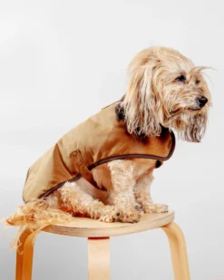 EARTHBOUND Wax Cotton All Weather Dog Jacket In Beige 11 EARTHBOUND Wax Cotton All Weather Dog Jacket In Beige -Pet Sale Shop Dog Co 1C5A5792