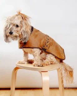 EARTHBOUND Wax Cotton All Weather Dog Jacket In Beige 10 EARTHBOUND Wax Cotton All Weather Dog Jacket In Beige -Pet Sale Shop Dog Co 1C5A5796