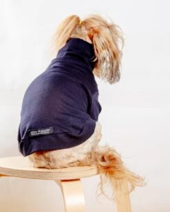 COLETTE ET GASTON Cotton Pullover Dog T-Shirt In Lavender Or Navy -Pet Sale Shop Dog Co 1C5A5809