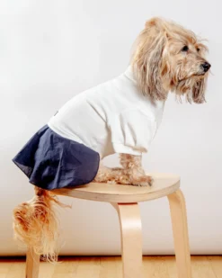 COLETTE ET GASTON Soft Dog Dress In White & Navy 10 COLETTE ET GASTON Soft Dog Dress In White & Navy -Pet Sale Shop Dog Co 1C5A5812