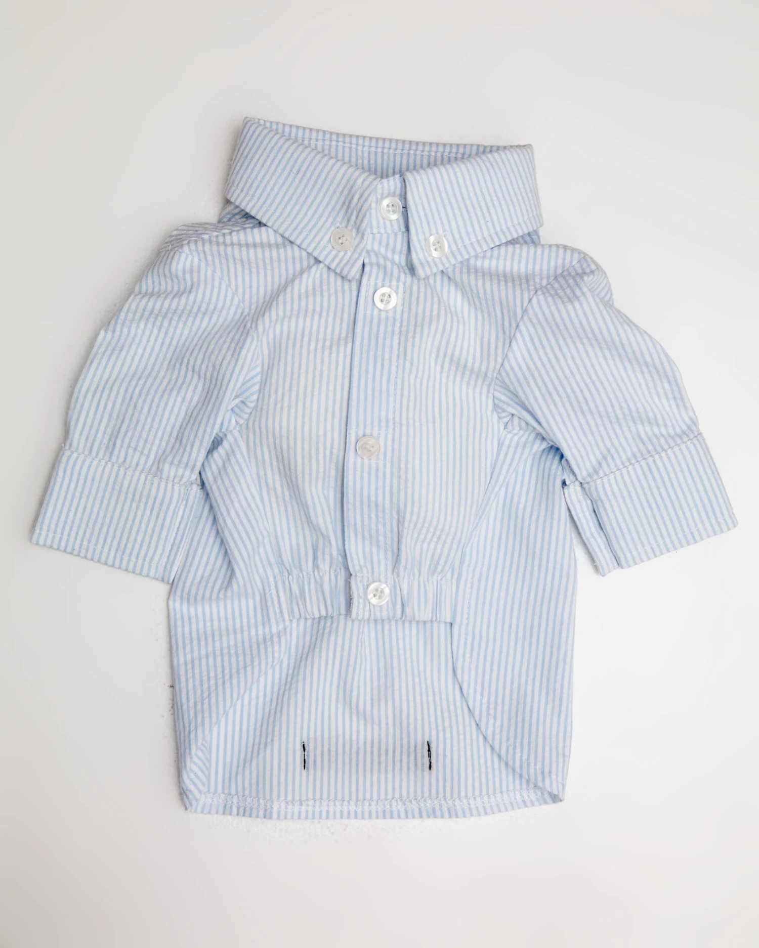 COLETTE ET GASTON Slim Fit Organic Cotton Button Down Dog Shirt In Striped Blue 2 COLETTE ET GASTON Slim Fit Organic Cotton Button Down Dog Shirt In Striped Blue - Image 2