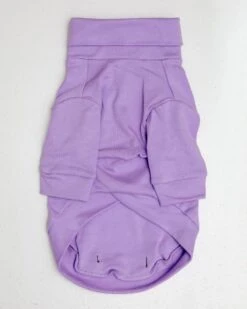 COLETTE ET GASTON Cotton Pullover Dog T-Shirt In Lavender Or Navy -Pet Sale Shop Dog Co 1C5A5840
