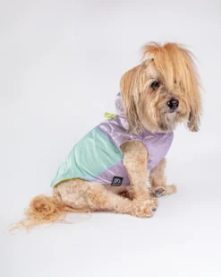 FUZZYARD Ormond Raincoat In Olive + Pink Or Purple + Mint -Pet Sale Shop Dog Co 1C5A5988 2