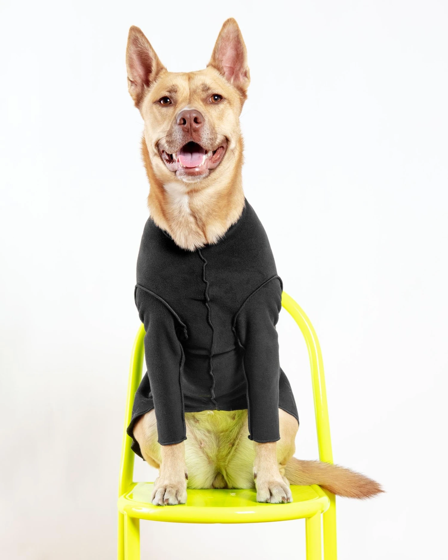 DOG & CO. COLLECTION Long-Sleeve Pullover Stretch Dog Fleece In Black (Made In The USA, Dog & Co. Exclusive!) 1 DOG & CO. COLLECTION Long-Sleeve Pullover Stretch Dog Fleece In Black (Made In The USA, Dog & Co. Exclusive!)