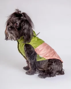 FUZZYARD Ormond Raincoat In Olive + Pink Or Purple + Mint -Pet Sale Shop Dog Co 1C5A5997