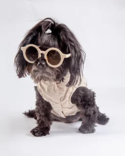 FUZZYARD Life Dog Raincoat 14 FUZZYARD Life Dog Raincoat -Pet Sale Shop Dog Co 1C5A6018