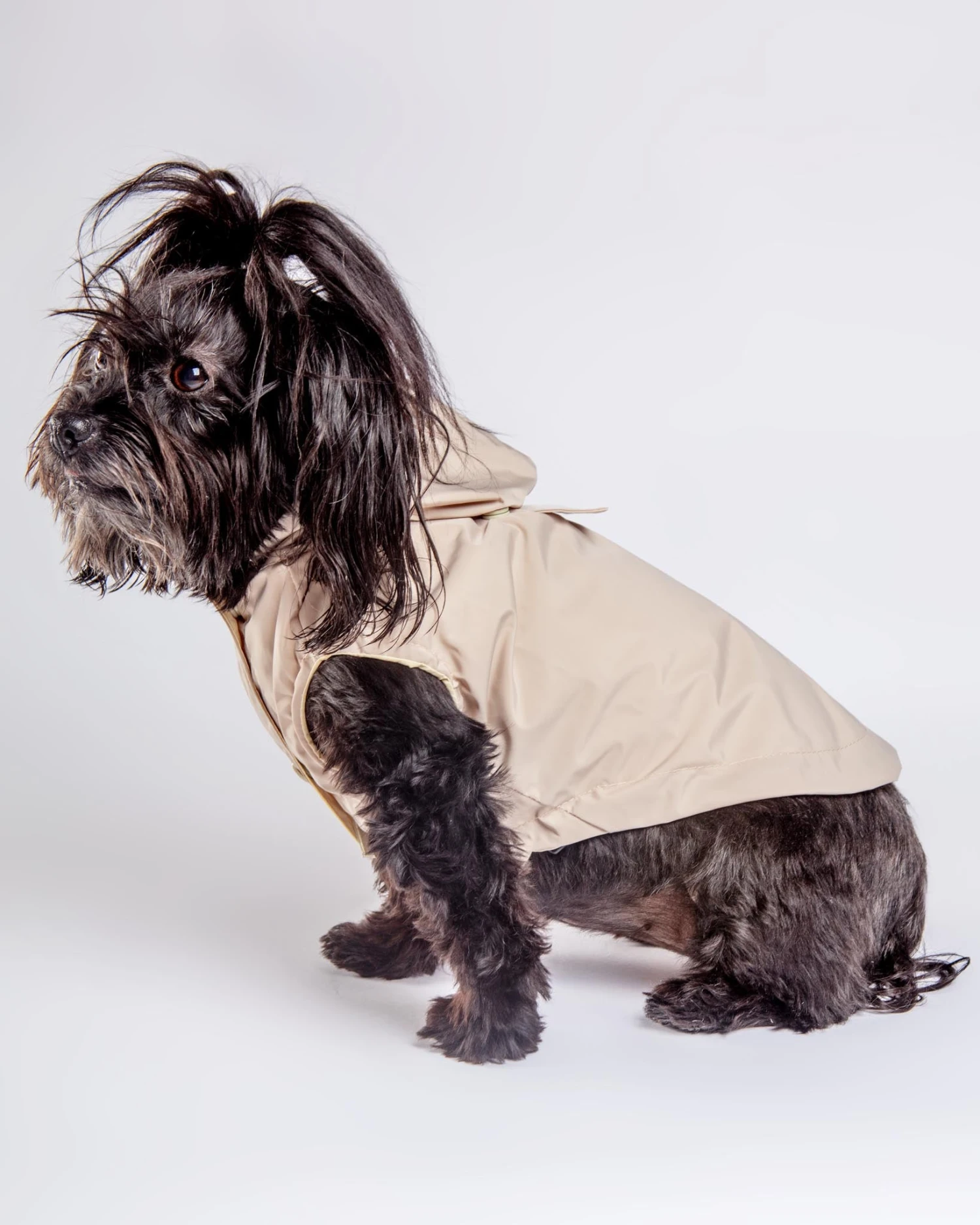 FUZZYARD Life Dog Raincoat 2 FUZZYARD Life Dog Raincoat - Image 2