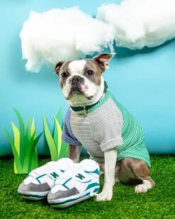 MUTTZIE Chew Balance Sneaker Plush Dog Toy -Pet Sale Shop Dog Co 1C5A6440 1