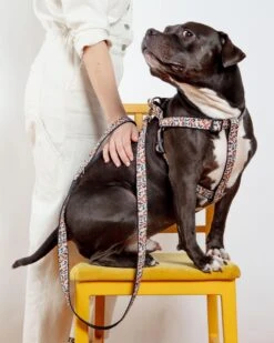 DOG & CO. COLLECTION Step-In Dog Harness In Camo Leopard (Made In NYC)