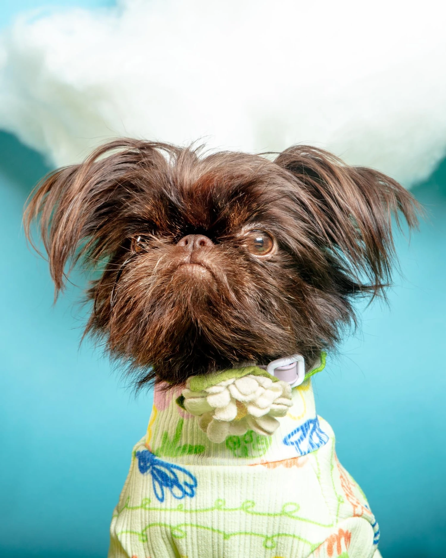 COTE A COTE Garden Lettuce Dog T-Shirt 11 COTE A COTE Garden Lettuce Dog T-Shirt - Image 11