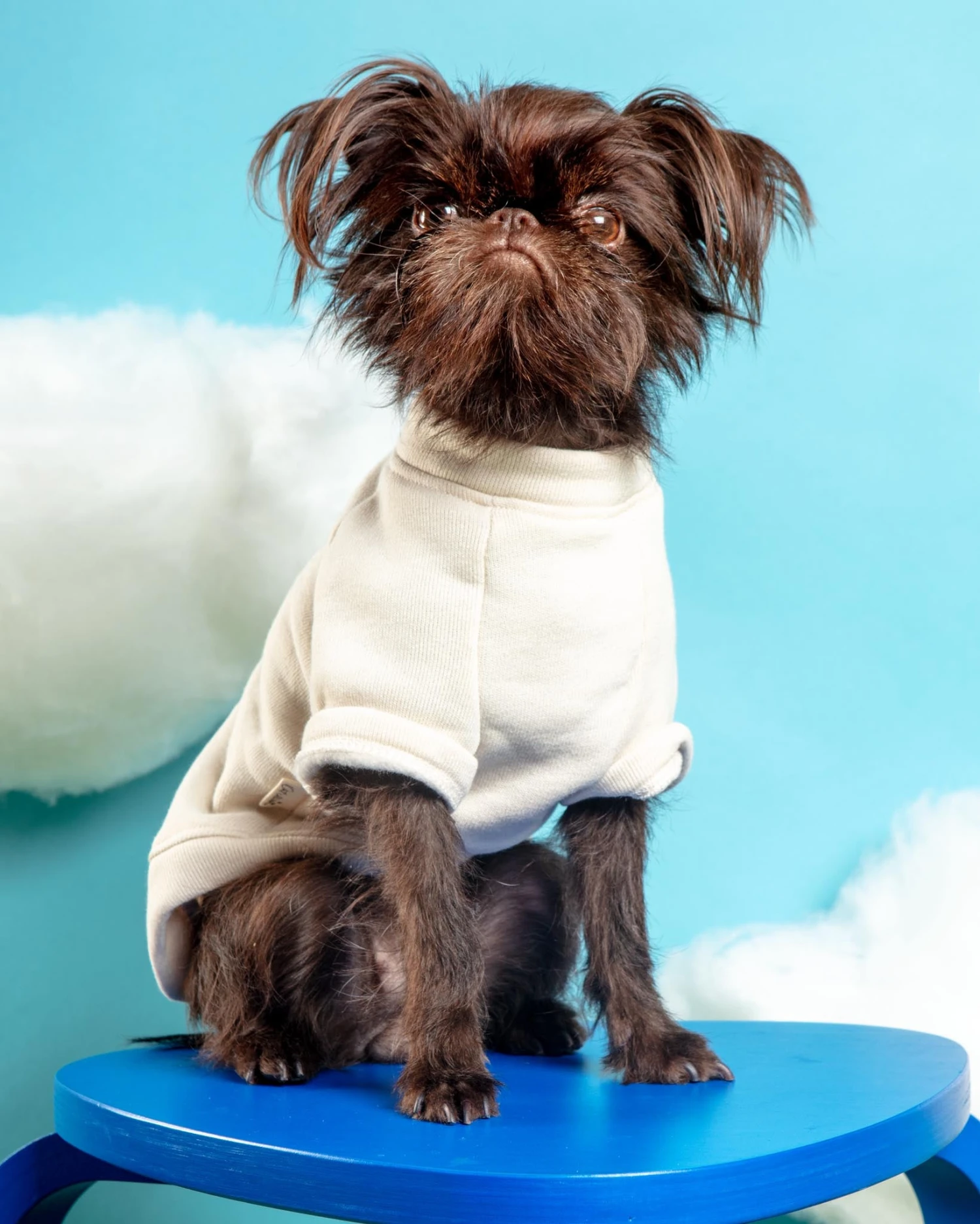 OAT COLLECTIVE Basic Solid Pet Sweatshirt 2 OAT COLLECTIVE Basic Solid Pet Sweatshirt - Image 2