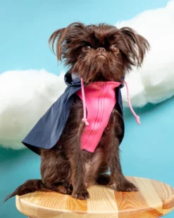 DOG & CO. COLLECTION Action Jacket Pull-On Raincoat In Navy + Neon Pink (Made In NYC) -Pet Sale Shop Dog Co 1C5A6669 1