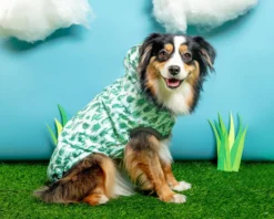 GF PET Reversible Waterproof Dog Raincoat In Green -Pet Sale Shop Dog Co 1C5A6708 1