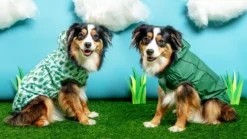 GF PET Reversible Waterproof Dog Raincoat In Green -Pet Sale Shop Dog Co 1C5A6708 double scaled