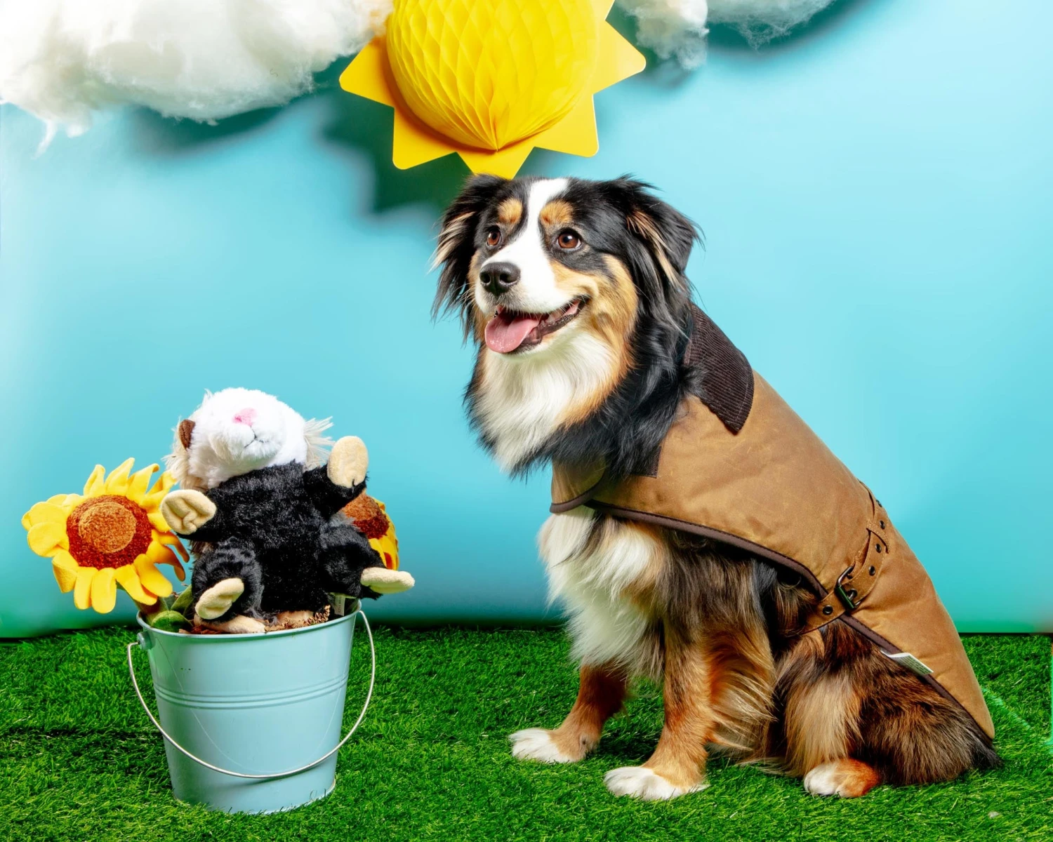 EARTHBOUND Wax Cotton All Weather Dog Jacket In Beige 3 EARTHBOUND Wax Cotton All Weather Dog Jacket In Beige - Image 3