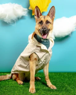 FUZZYARD Life Dog Raincoat 21 FUZZYARD Life Dog Raincoat -Pet Sale Shop Dog Co 1C5A6957