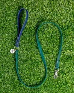 DOG & CO. COLLECTION City Leash In Hunter Green & Navy (4 Or 6 Foot) (Made In The USA) -Pet Sale Shop Dog Co 1C5A7078