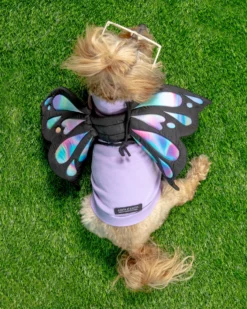 DOGO Adjustable Tie-On Butterfly Wings For Dogs 15 DOGO Adjustable Tie-On Butterfly Wings For Dogs -Pet Sale Shop Dog Co 1C5A7195