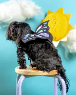 DOGO Adjustable Tie-On Butterfly Wings For Dogs 14 DOGO Adjustable Tie-On Butterfly Wings For Dogs -Pet Sale Shop Dog Co 1C5A7209